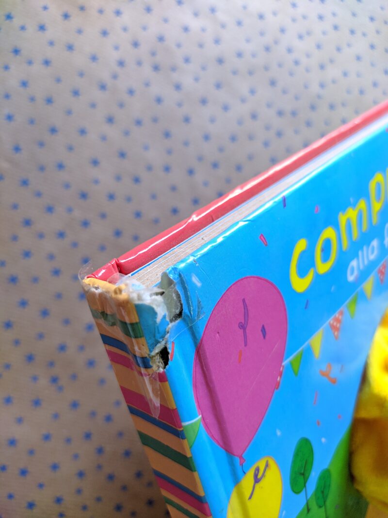 Compleanno alla fattoria