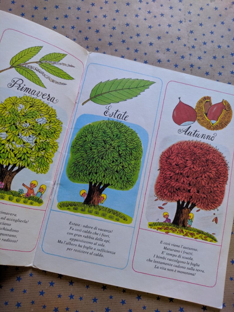 Il piccolo Tom e il suo amico albero