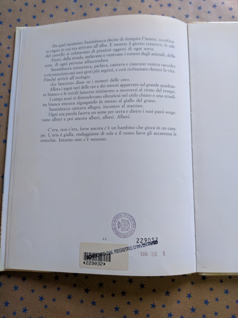 Sassinbocca