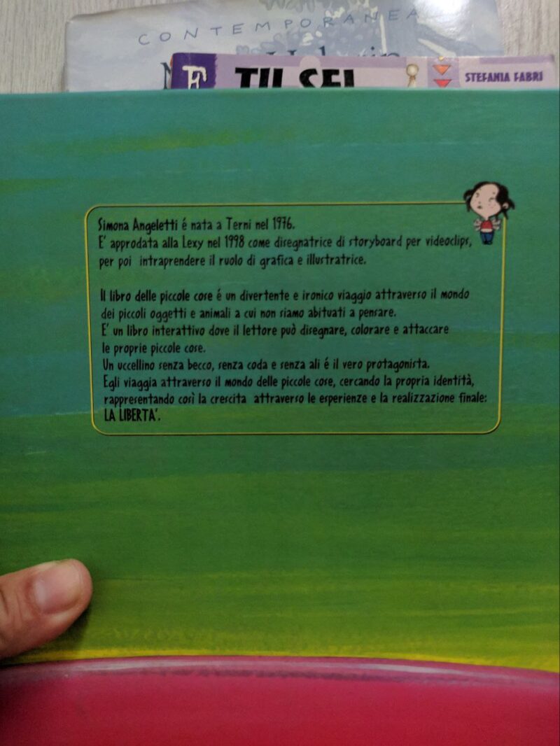 Il libro delle piccole cose