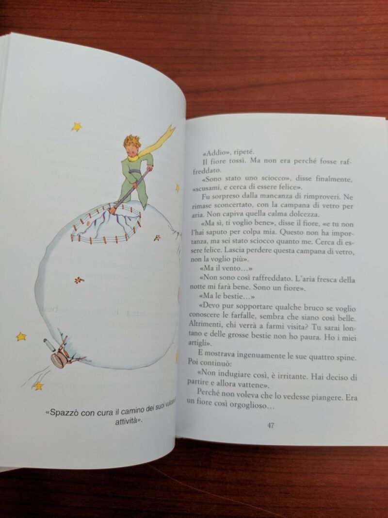 Il Piccolo Principe