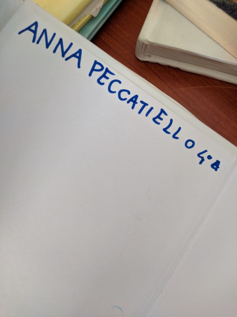 Il Piccolo Principe