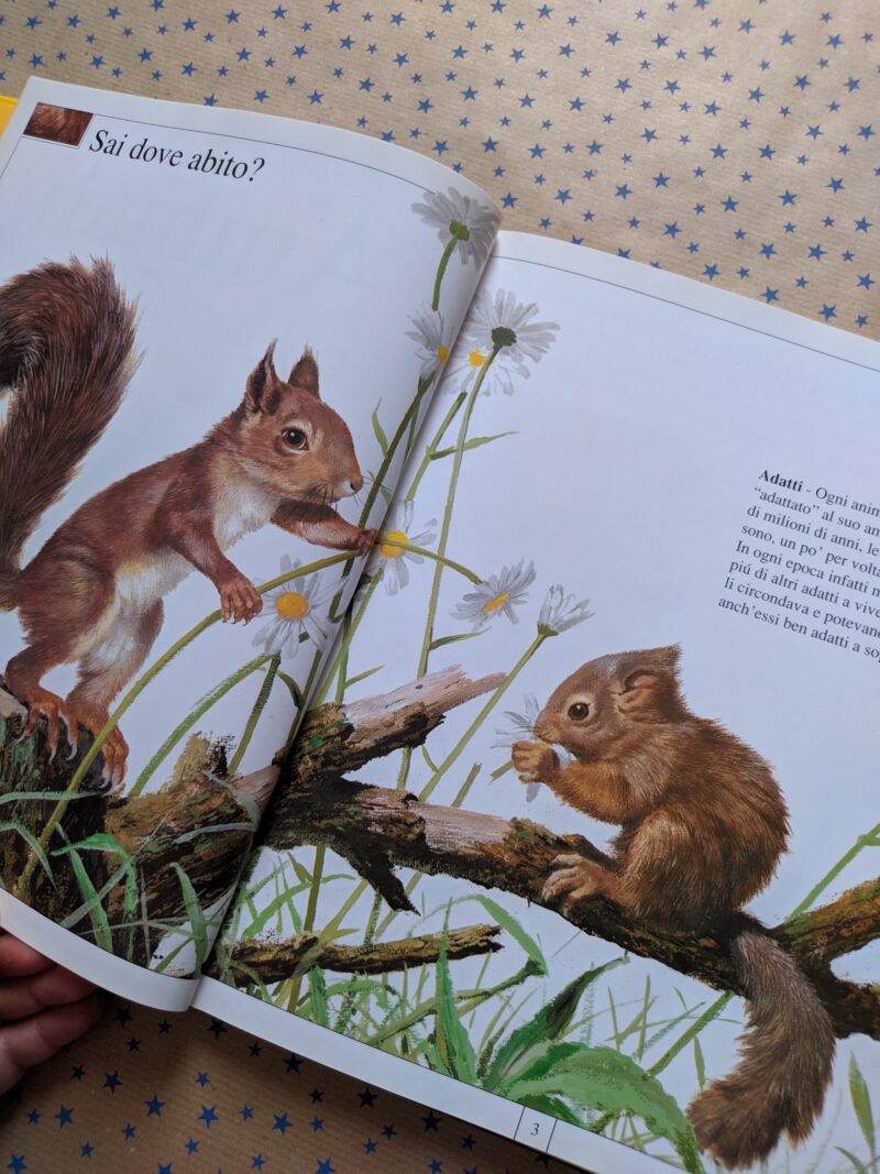 Animali nel loro ambiente
