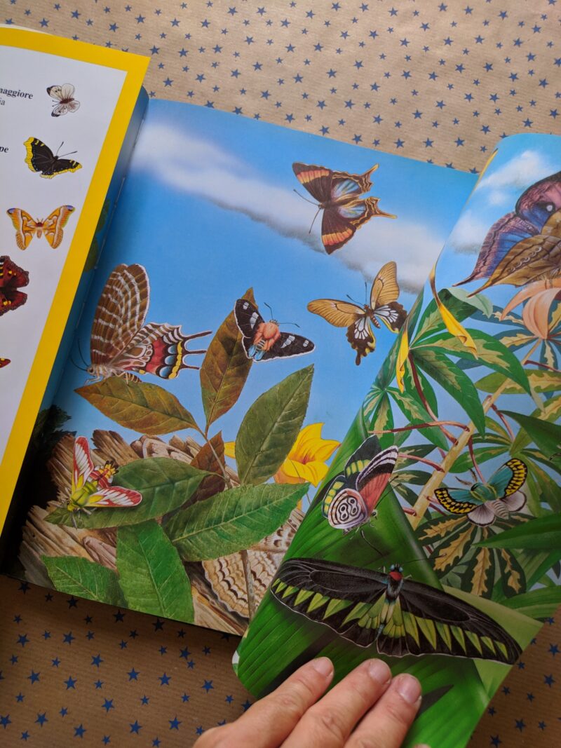 Animali nel loro ambiente