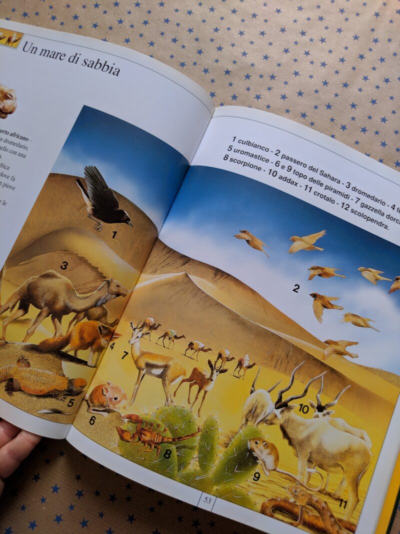 Animali nel loro ambiente