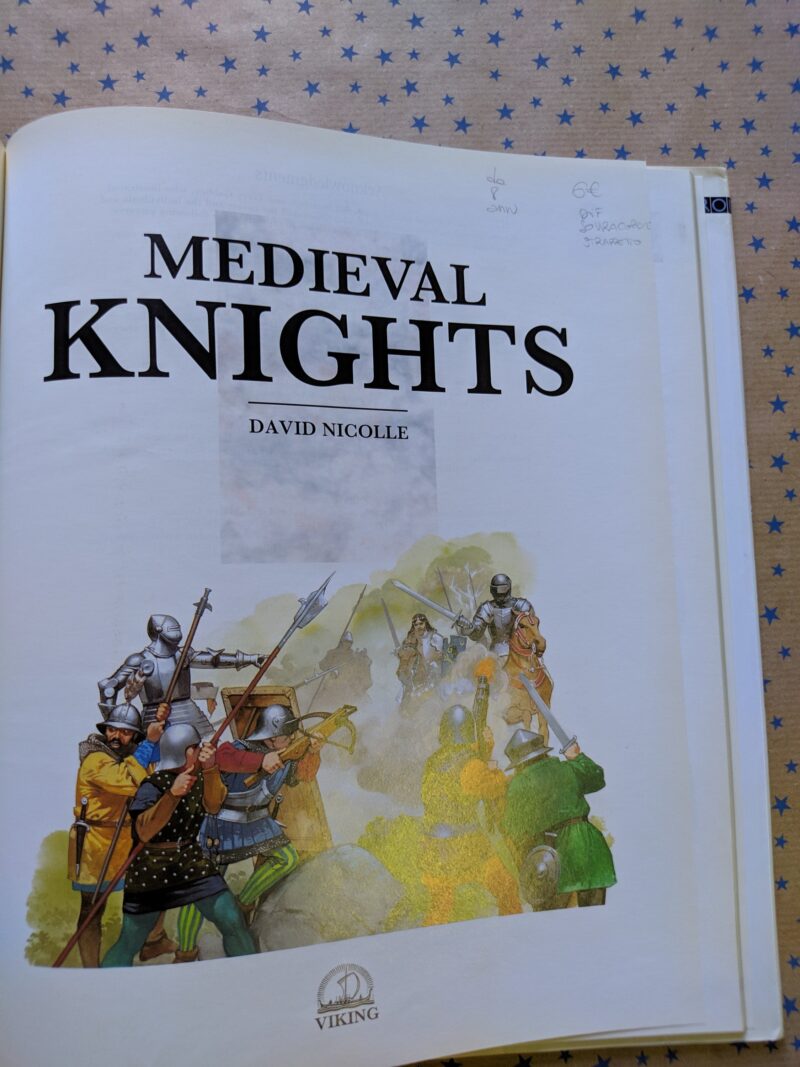 Medieval Knight (inglese)