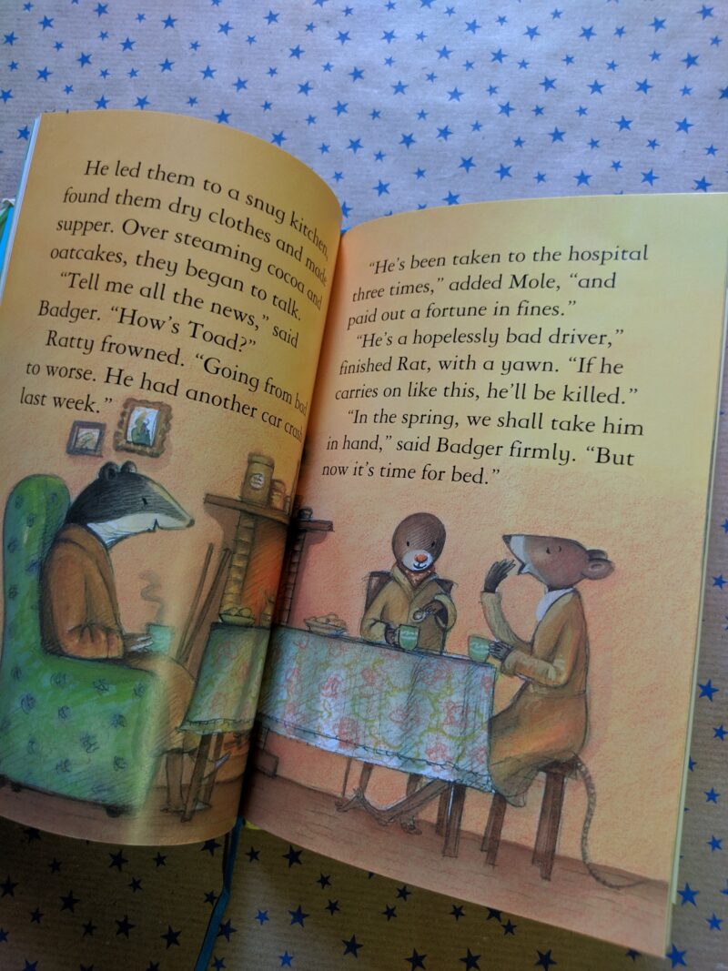The Wind in the willows (inglese)