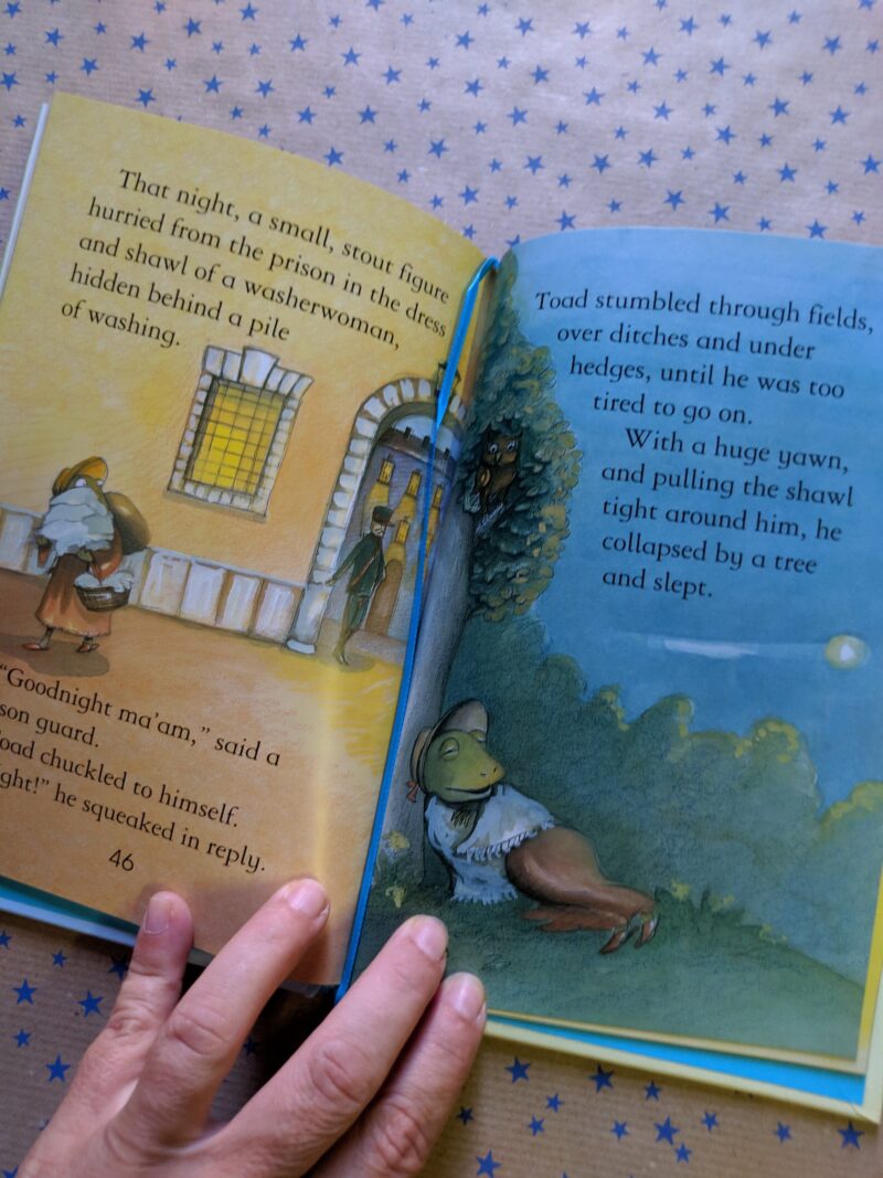 The Wind in the willows (inglese)