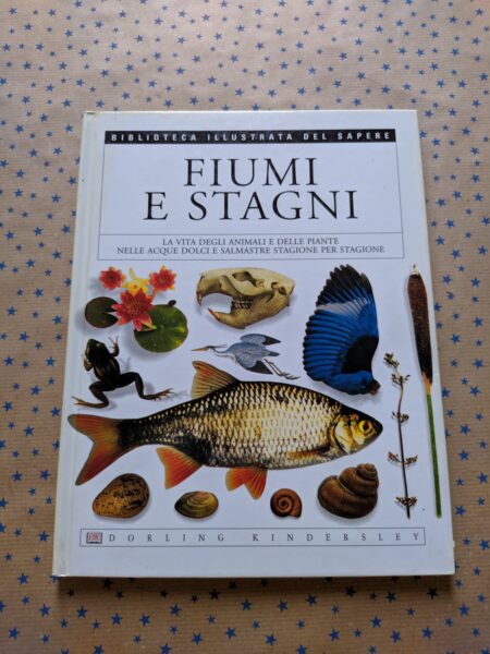 Fiumi e stagni