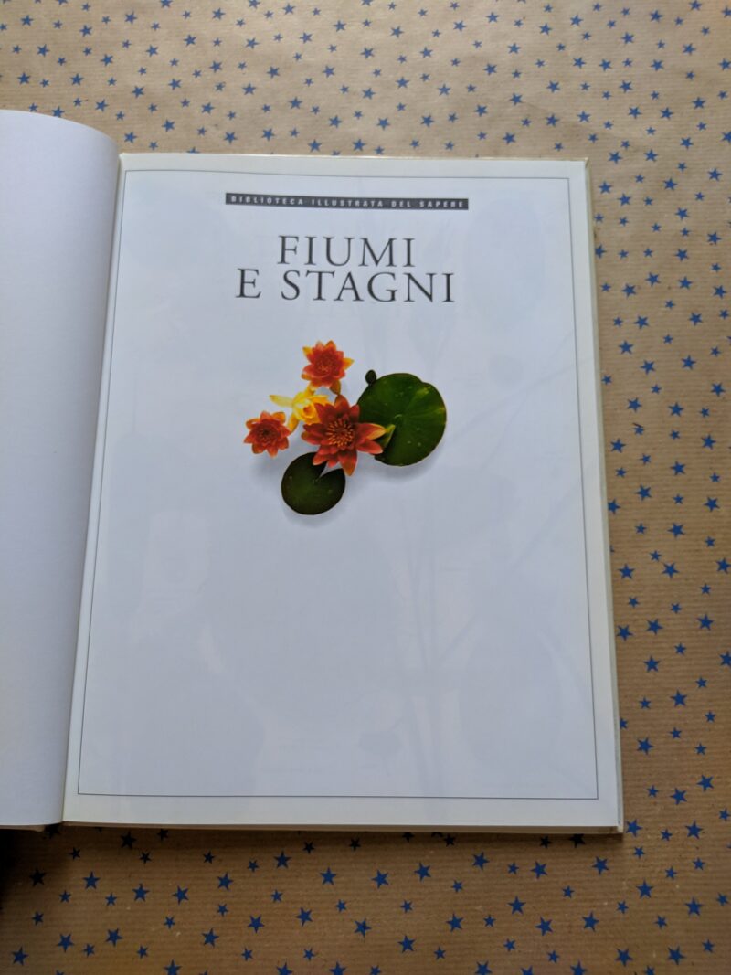 Fiumi e stagni