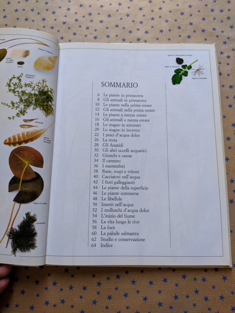 Fiumi e stagni