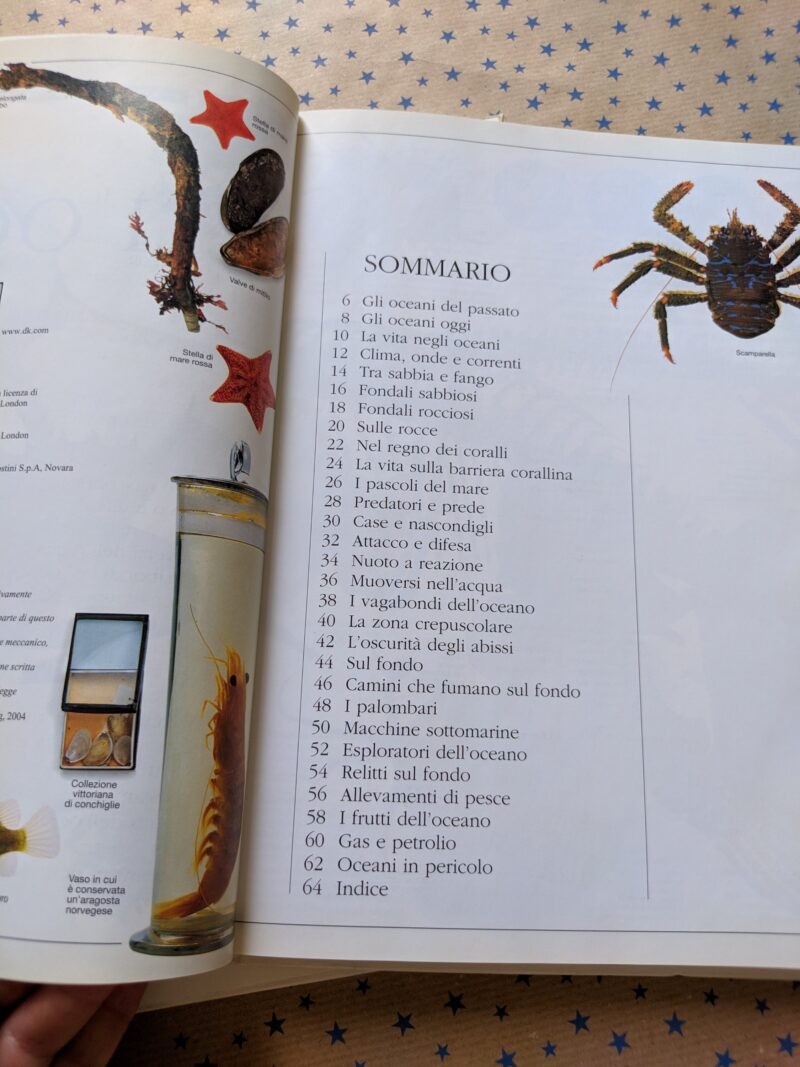 Gli oceani