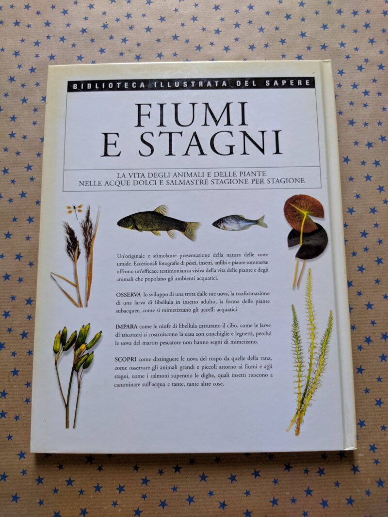 Fiumi e stagni