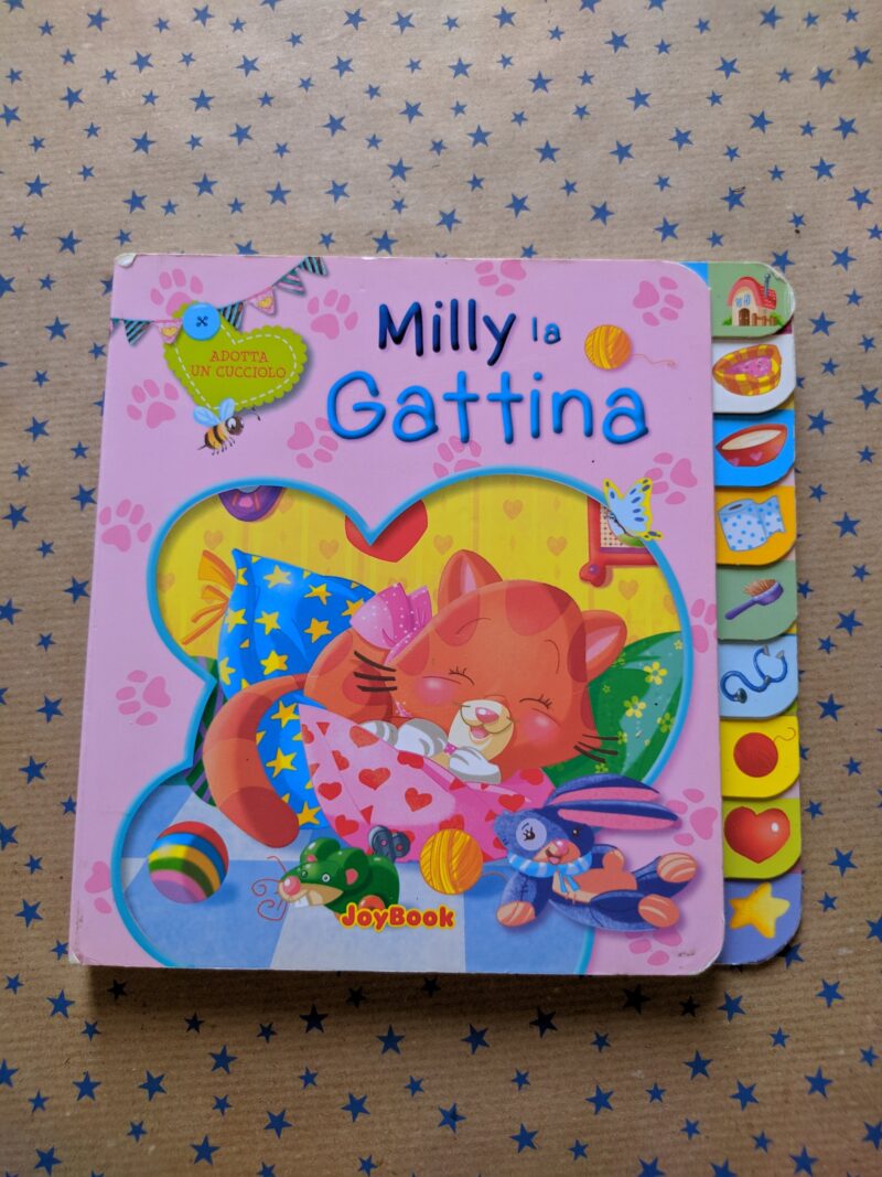 Milly la gattina