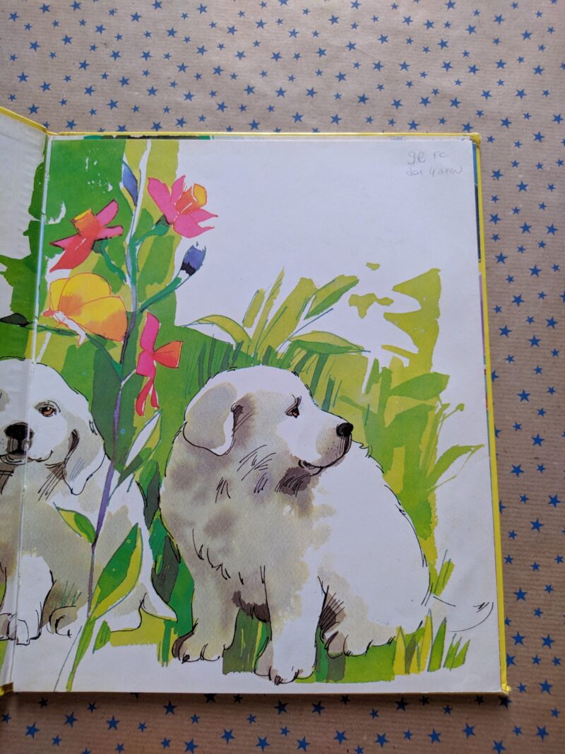 Tre piccoli cani