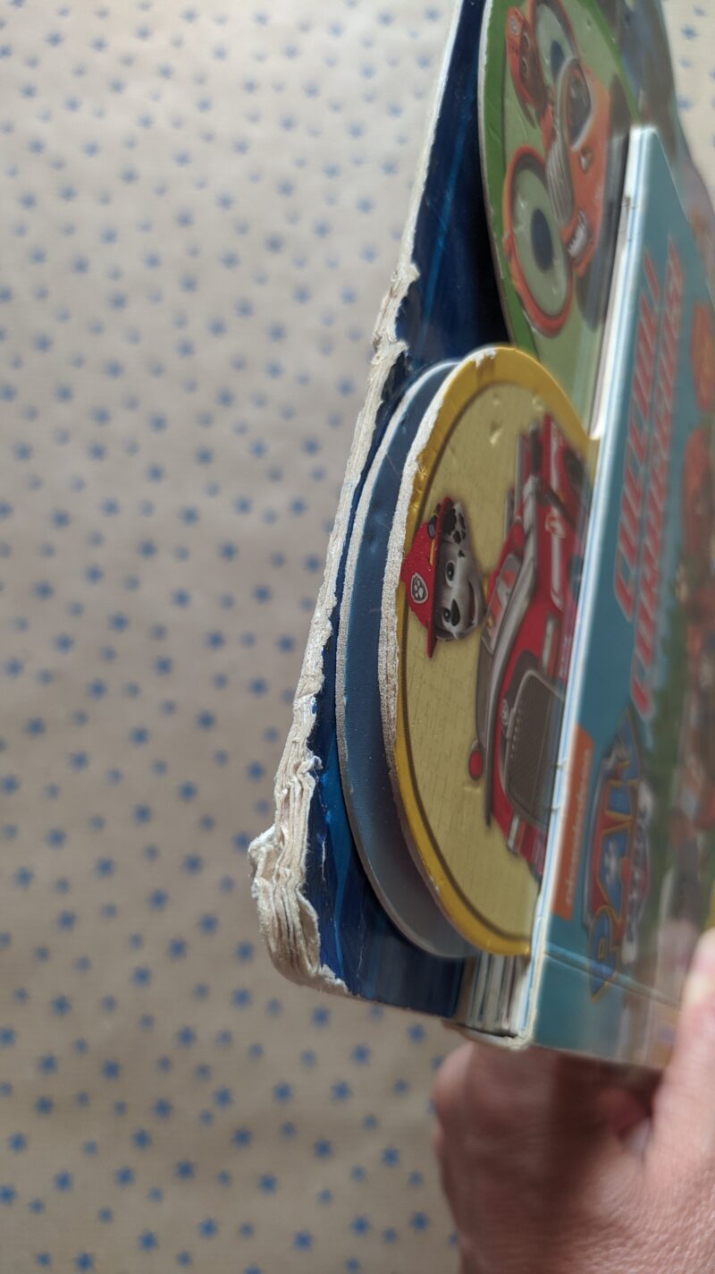 Paw Patrol Cuccioli Coraggiosi