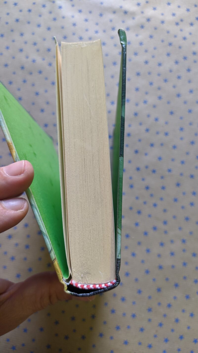 La ferrovia dello stregone