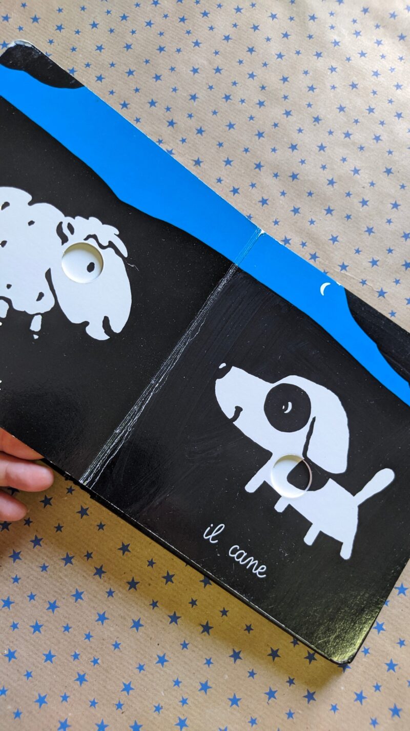 I miei animali