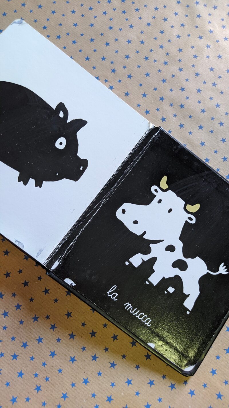 I miei animali