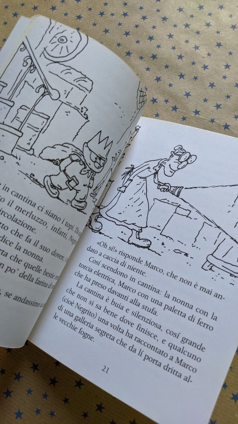 Piccolo Re. Storia di un figlio unico