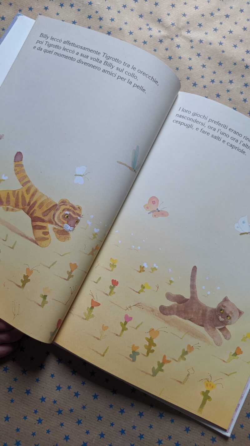 Billy e la tigre