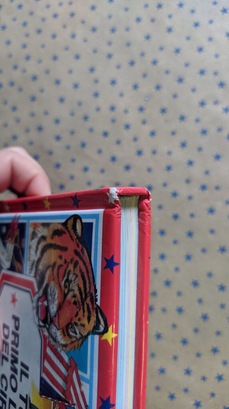 Il tuo primo libro del circo