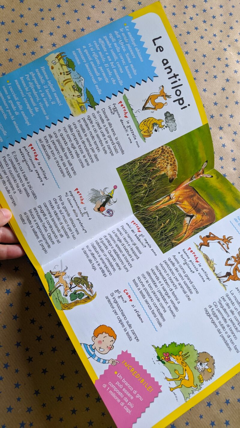 Gli animali