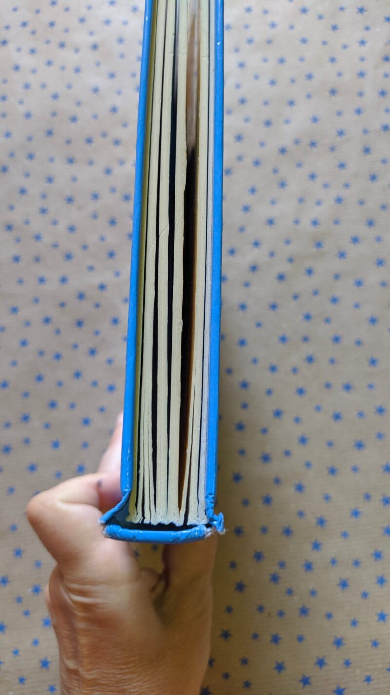 This Little Pirate (inglese)