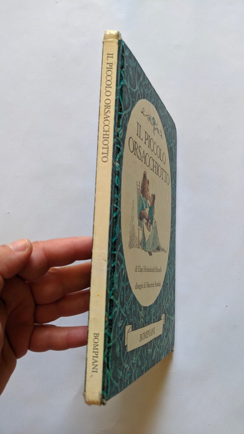 Il piccolo orsacchiotto