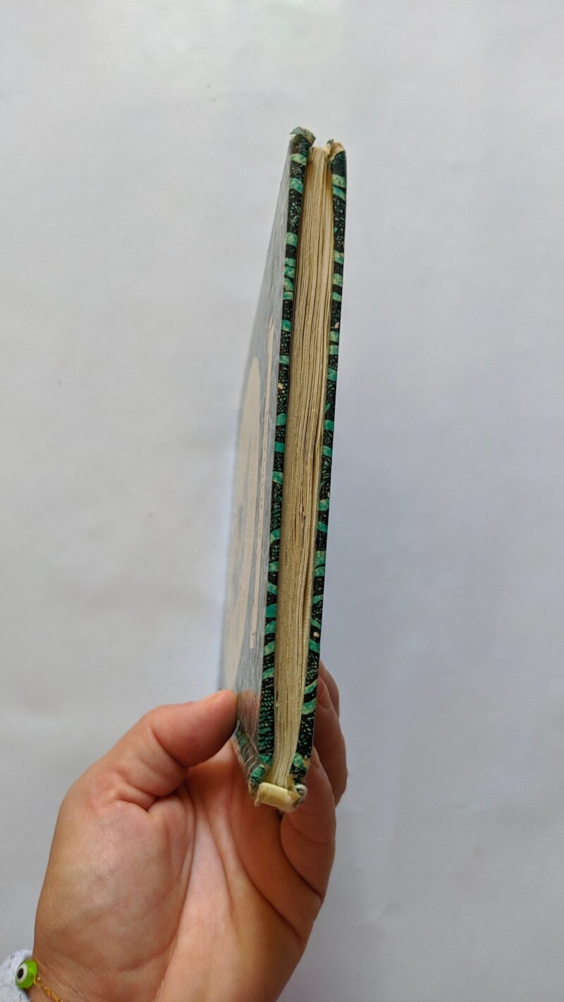 Il piccolo orsacchiotto