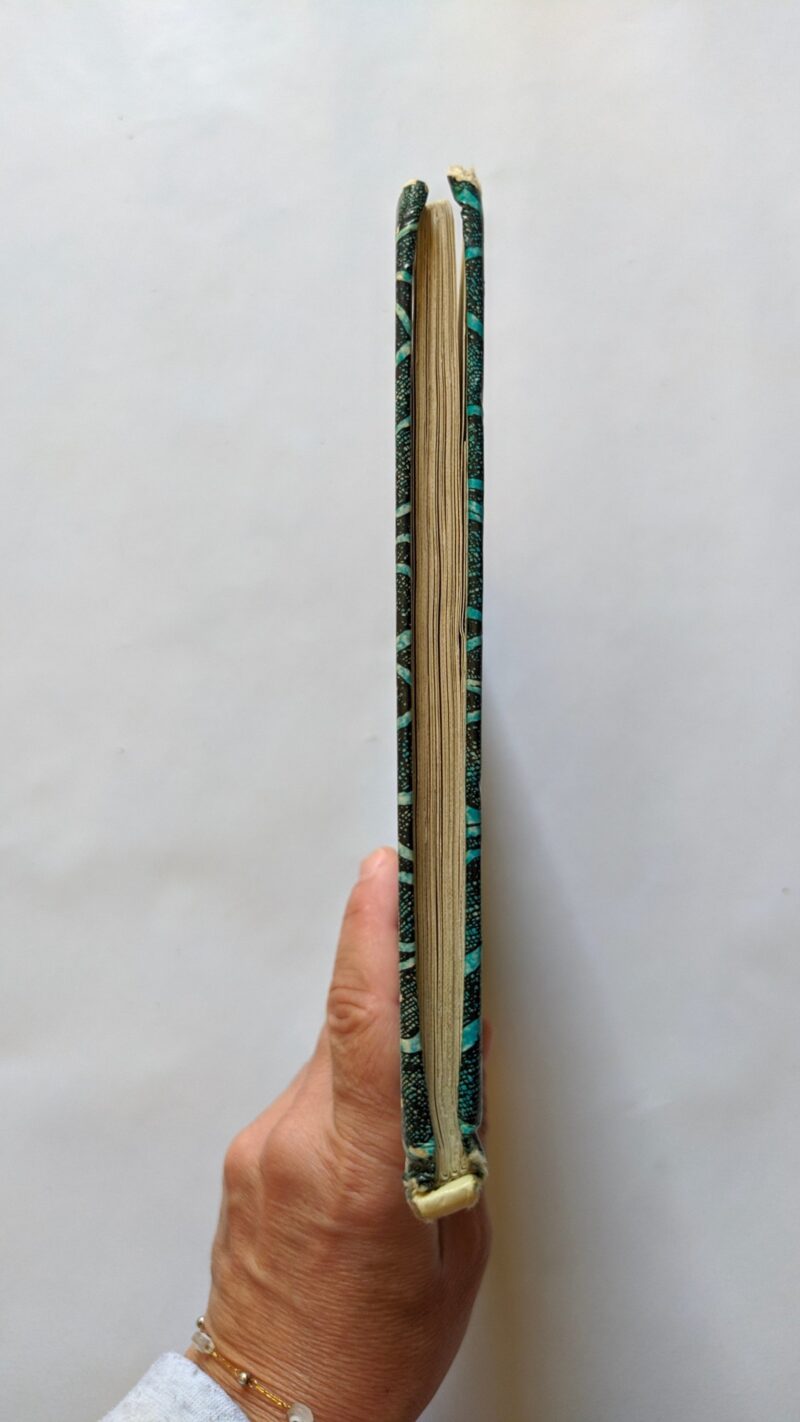 Il piccolo orsacchiotto