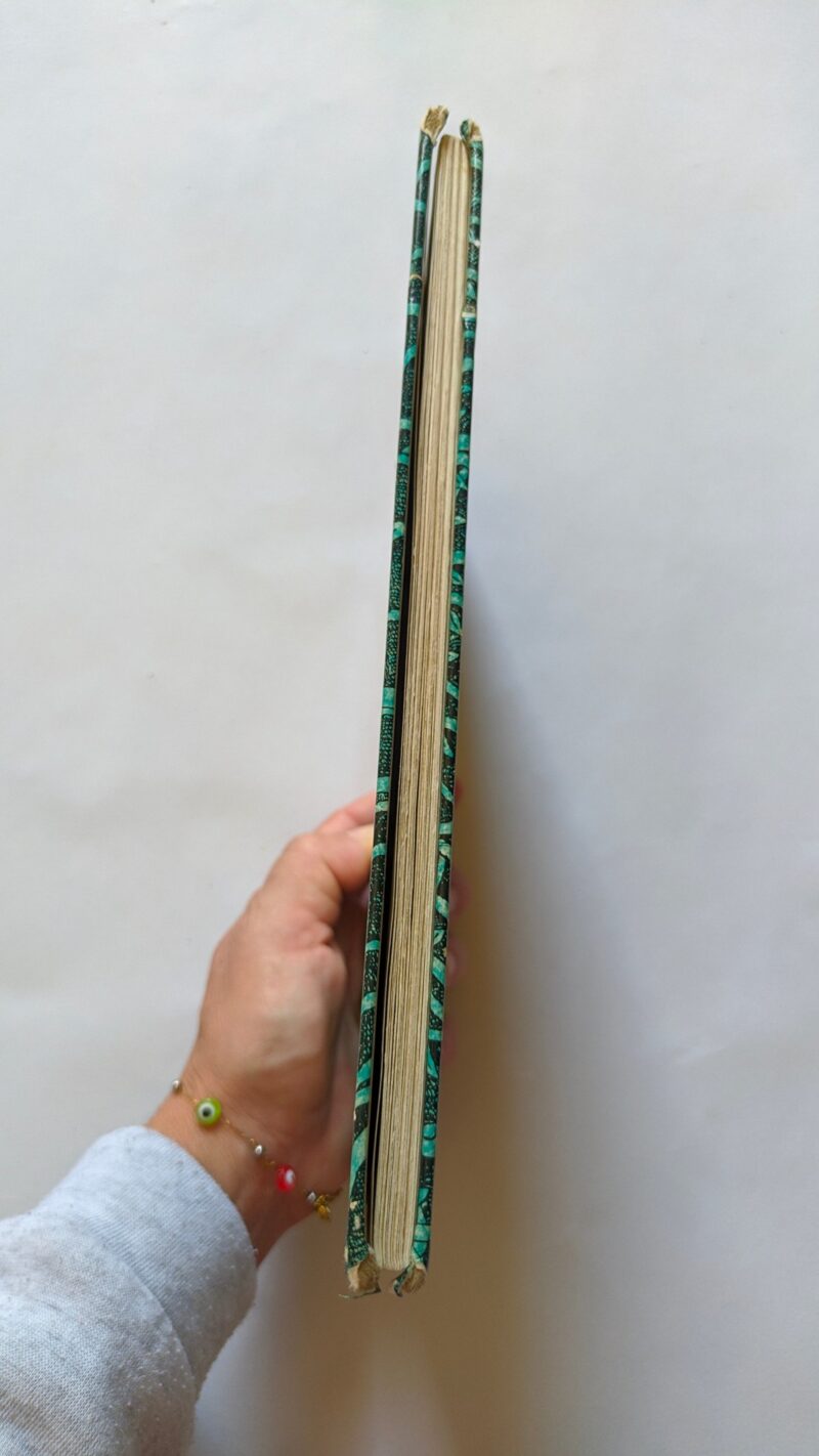 Il piccolo orsacchiotto