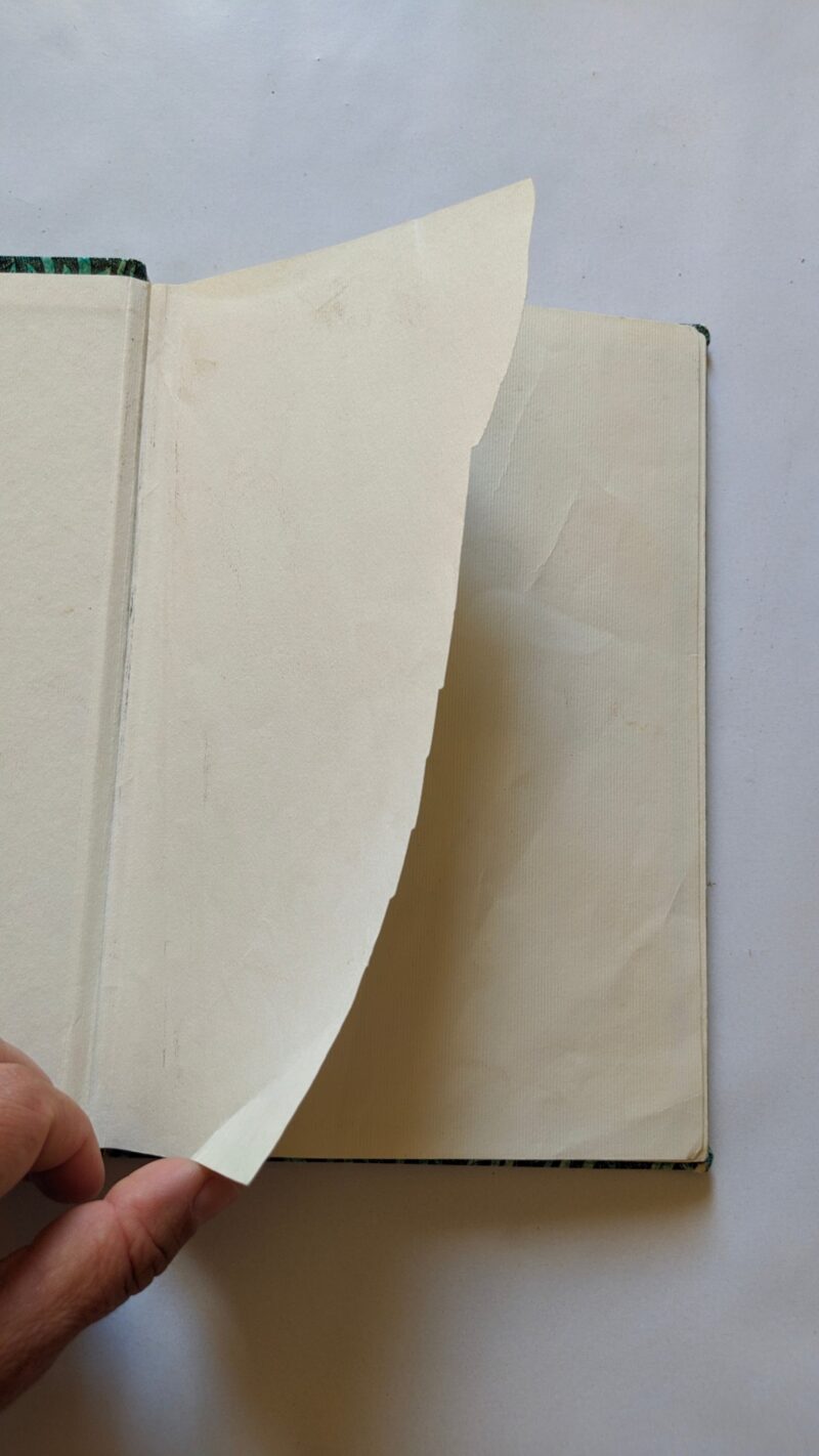 Il piccolo orsacchiotto