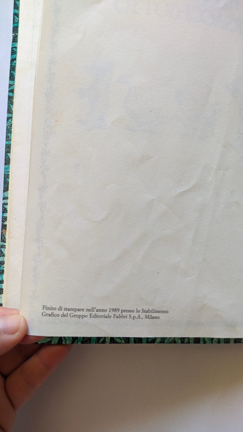 Il piccolo orsacchiotto