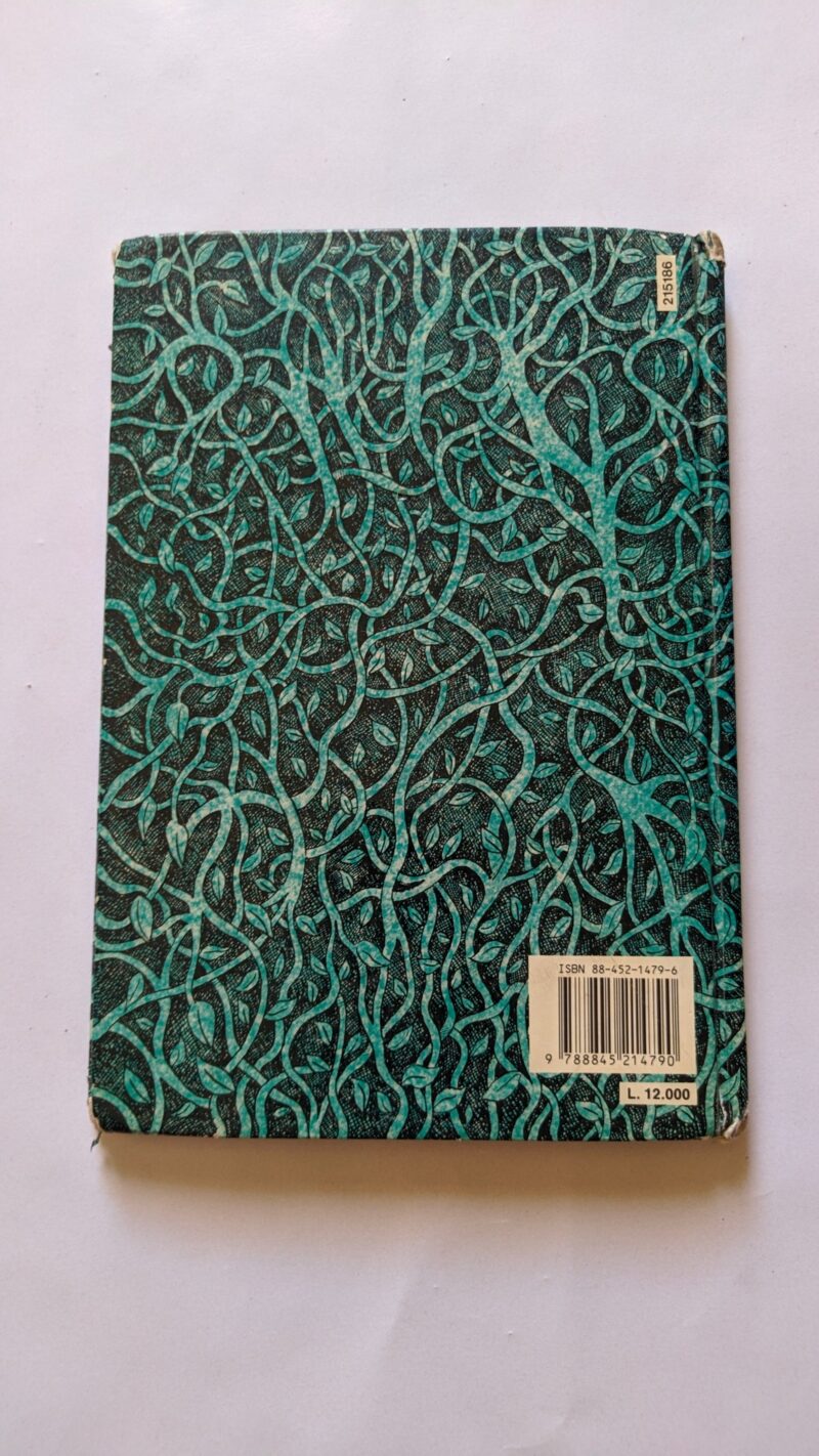 Il piccolo orsacchiotto