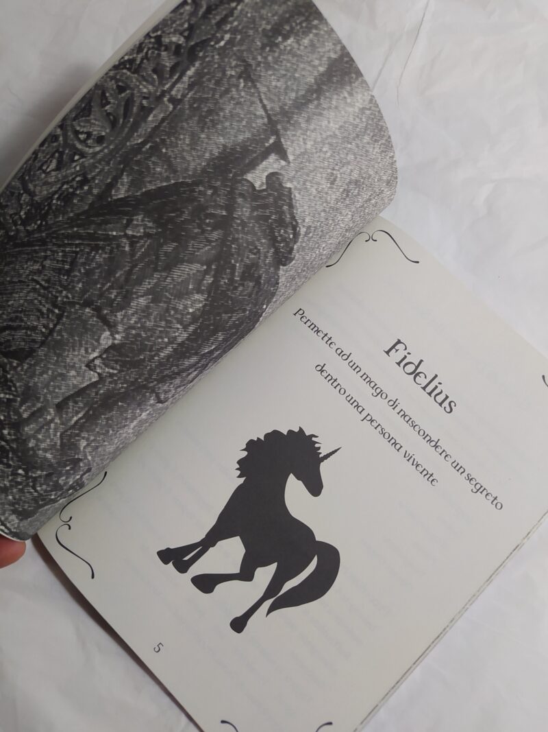 Maga Sabrina. Quaderno di Incantesimi e Ricette