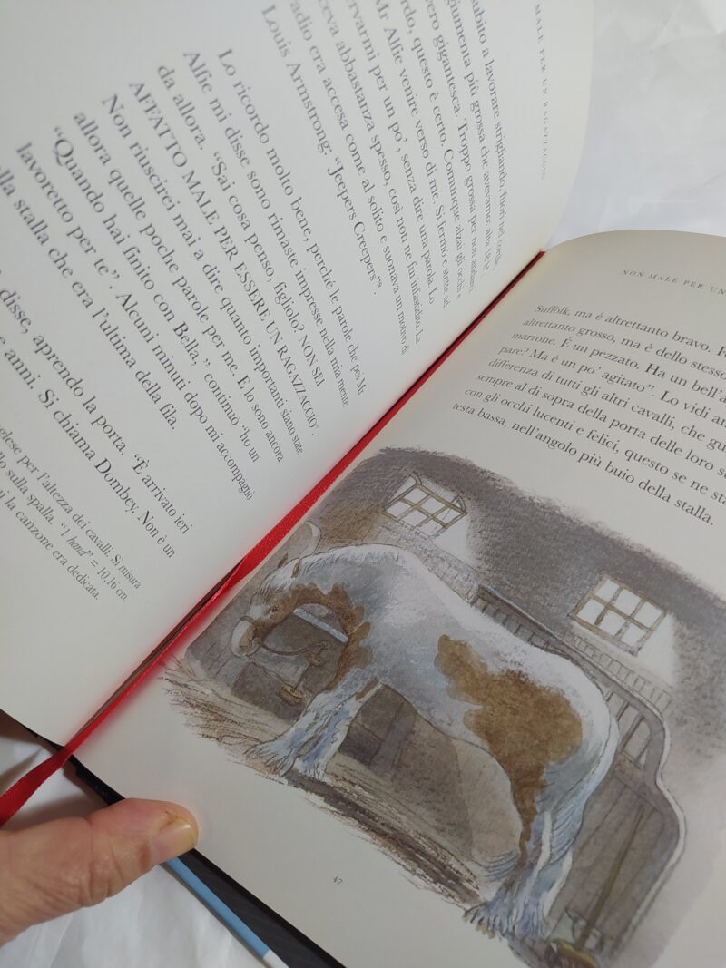 Non male per un ragazzaccio