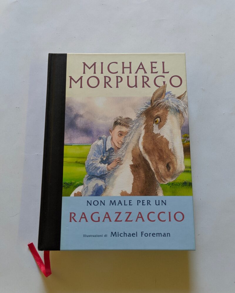 Non male per un ragazzaccio