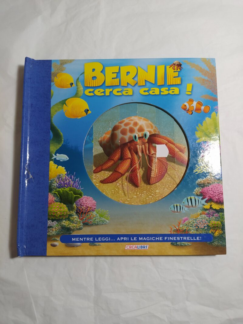 Bernie cerca casa!