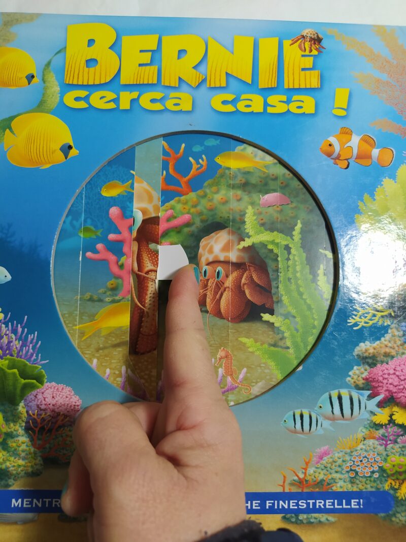 Bernie cerca casa!