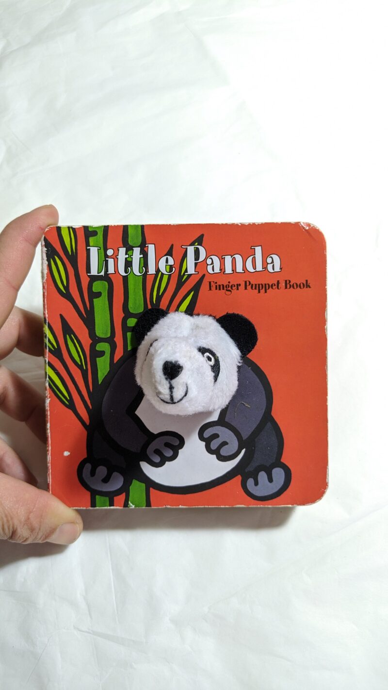 Little Panda (inglese)