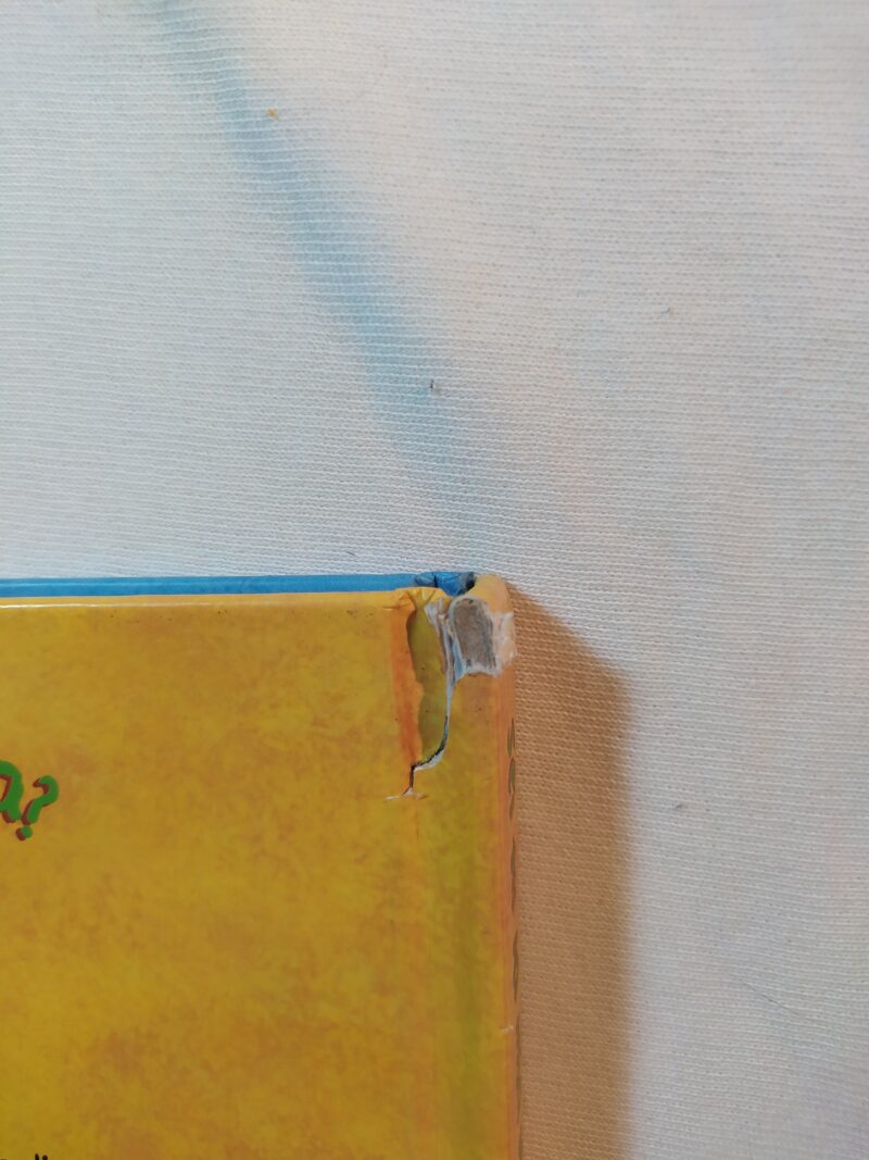 Sei tu la mia mamma? Io sono Tigrotto