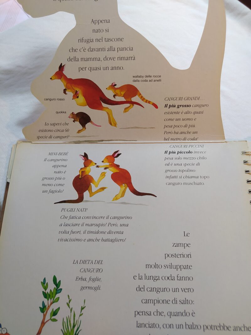 Pigro ingordo forte