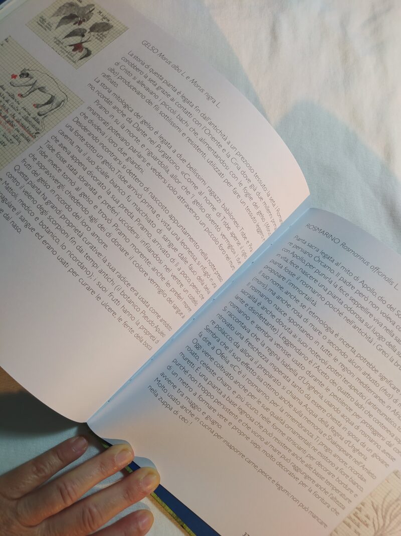 Nabù e il giardino cosmico