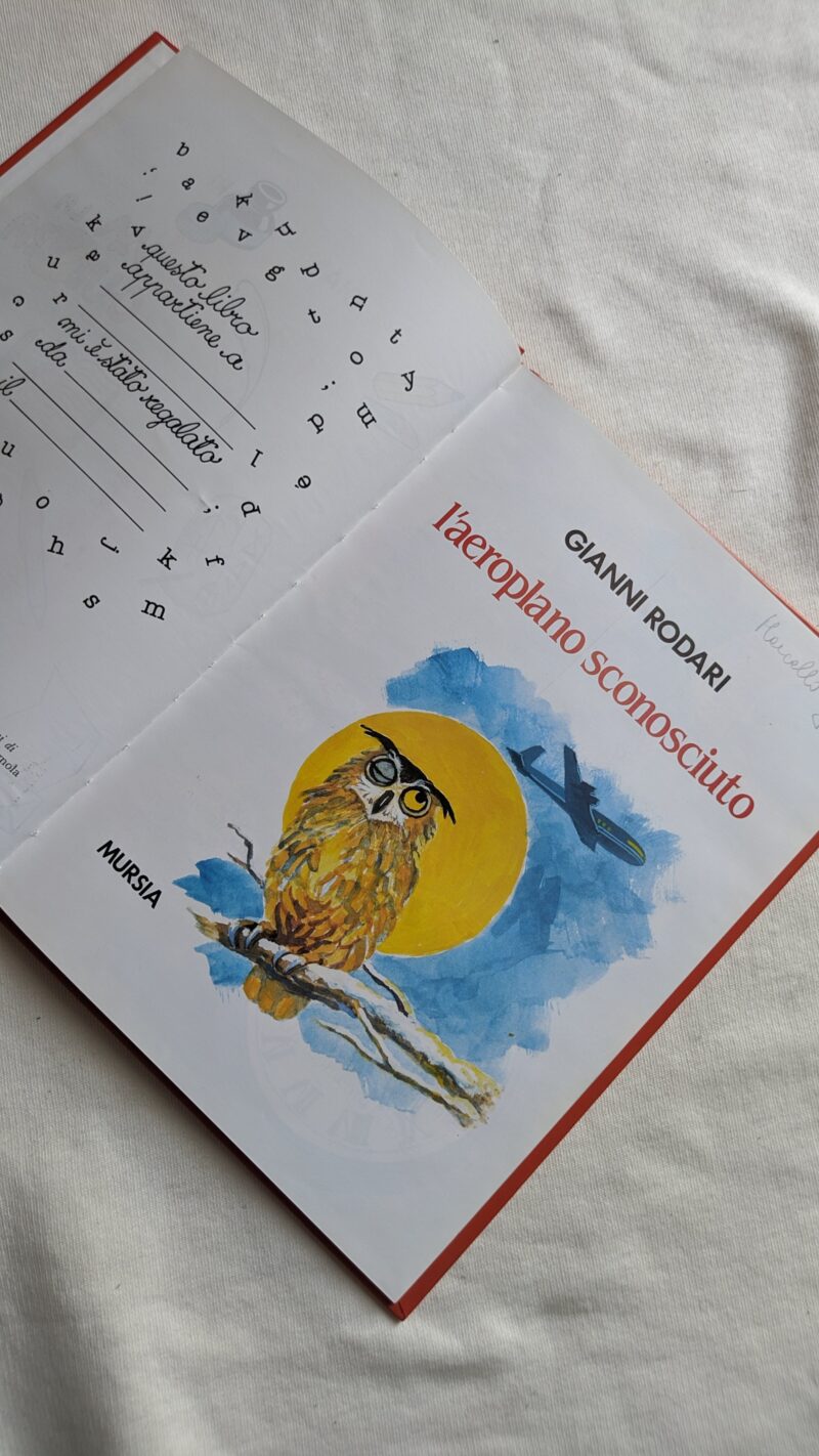 L' aeroplano sconosciuto