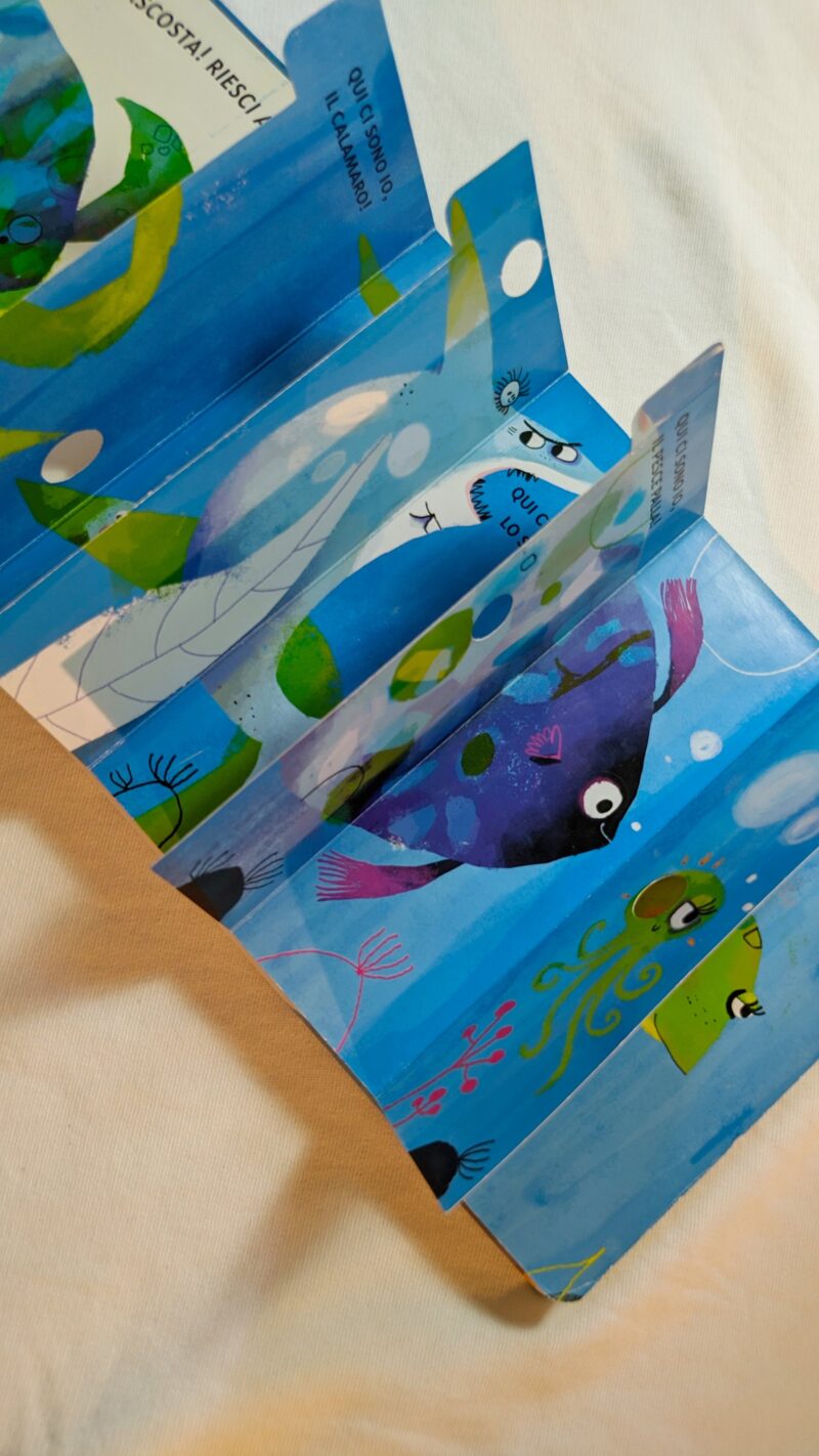 Animali dell'oceano
