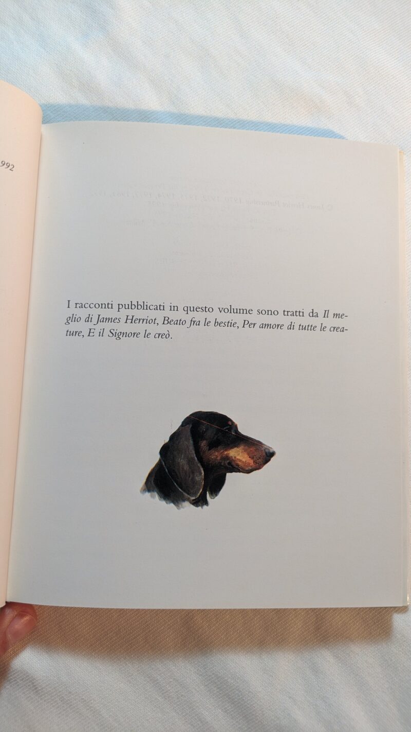 I cani più amati
Le storie più belle