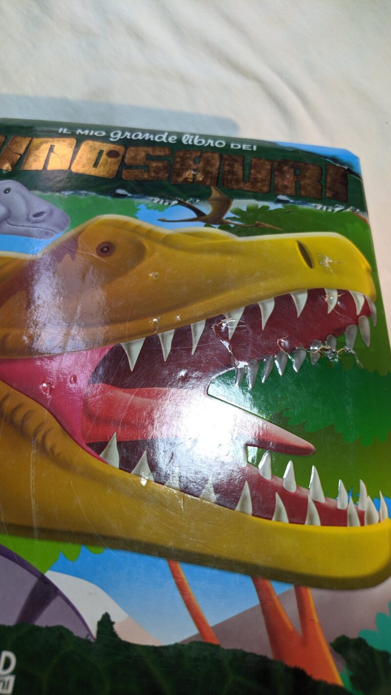 Il mio grande libro dei Dinosauri