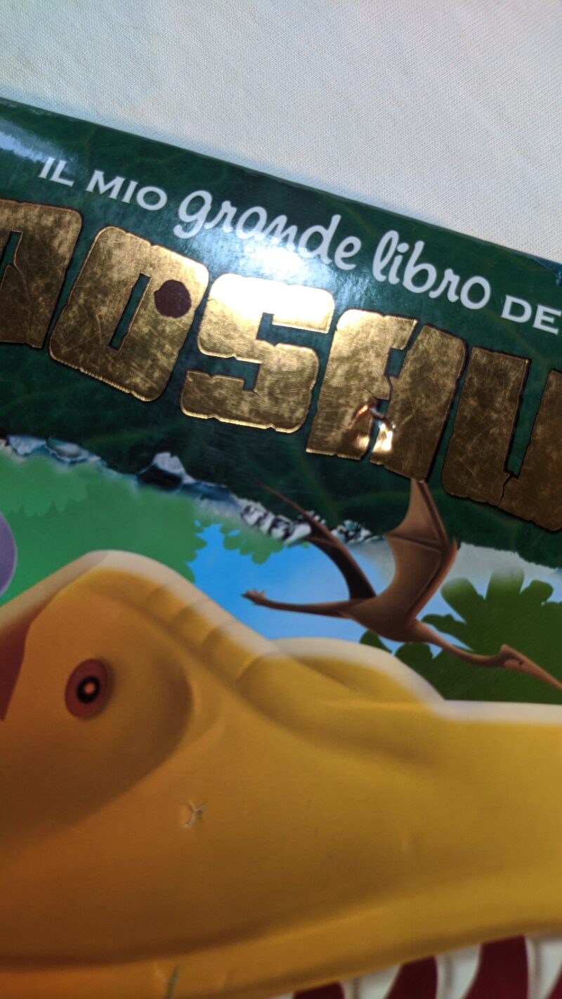 Il mio grande libro dei Dinosauri