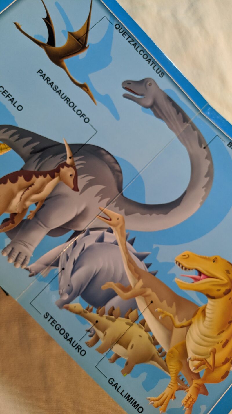 Il mio grande libro dei Dinosauri
